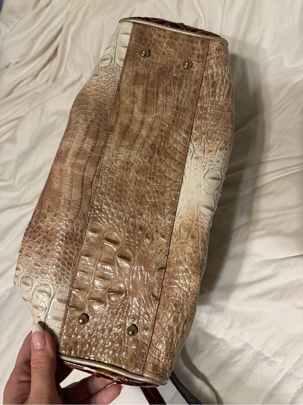 Brahmin - Picture 4 of 4